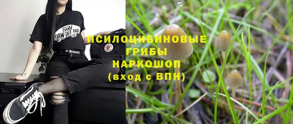 бошки Красноперекопск